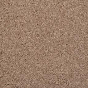 Casual Texture Bandicoot Brown Carpet