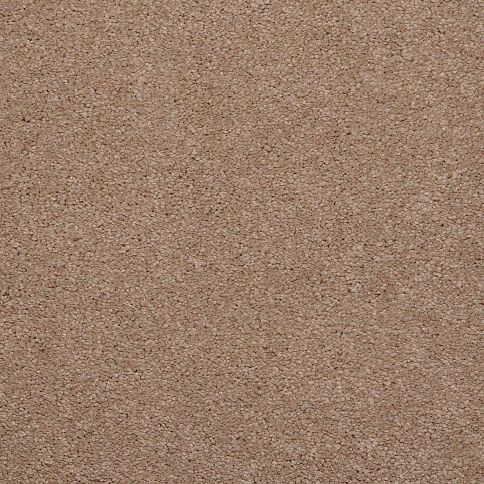 Casual Texture Bandicoot Brown Carpet