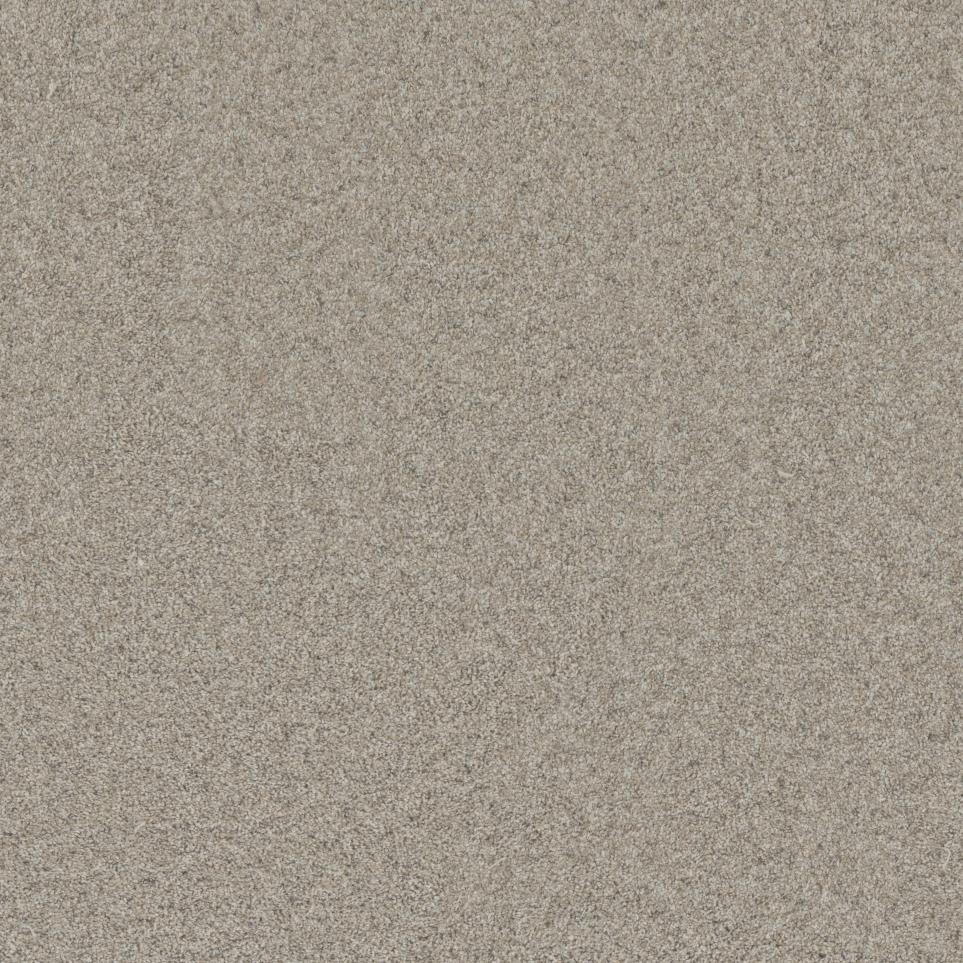 Textured Saxony Neighborhood Beige/Tan Carpet