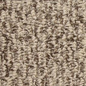 Pattern Cookie Butter Beige/Tan Carpet
