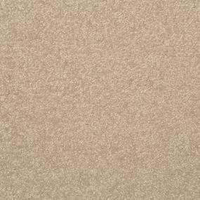 Textured Saxony Grounded Beige/Tan Carpet