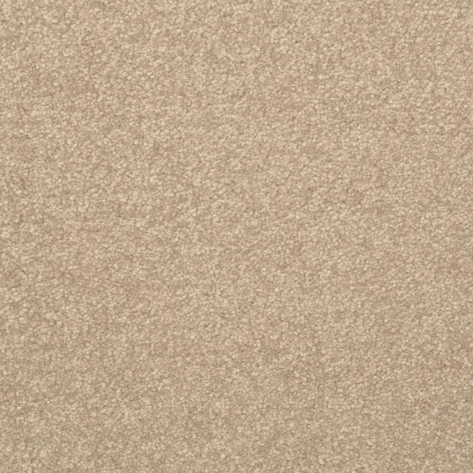 Textured Saxony Grounded Beige/Tan Carpet