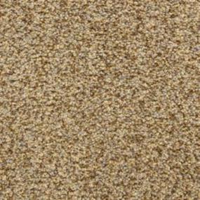 Textured Saxony Impressionist Brown Carpet