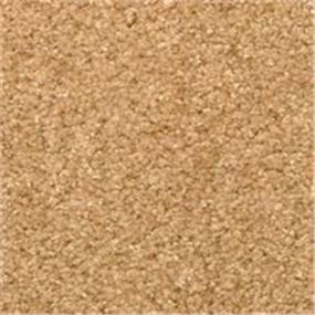 Pattern Bazaar Beige/Tan Carpet