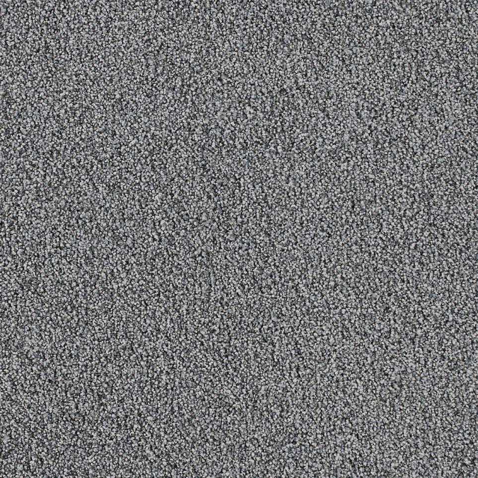 Cut Pile Wonderland Gray Carpet