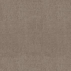 Pattern Timberline Brown Carpet