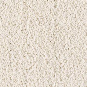 Textured Saxony FLAKY COCONUT Beige/Tan Carpet