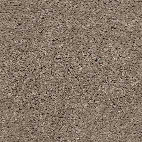 Textured Saxony Sundial Brown Carpet