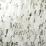 Vireo Balmain Polished