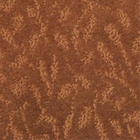 Pattern Black Raspberry Red Carpet
