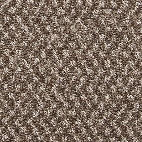 Pattern Remembrance Brown Carpet