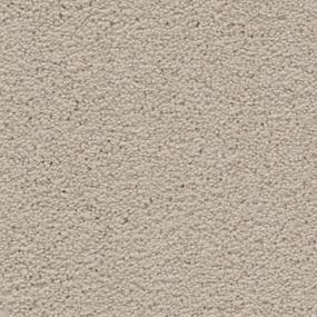 Textured Saxony Fetching Gray Carpet