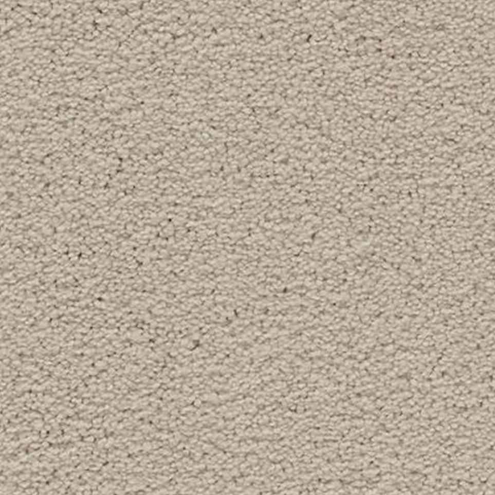 Textured Saxony Fetching Gray Carpet