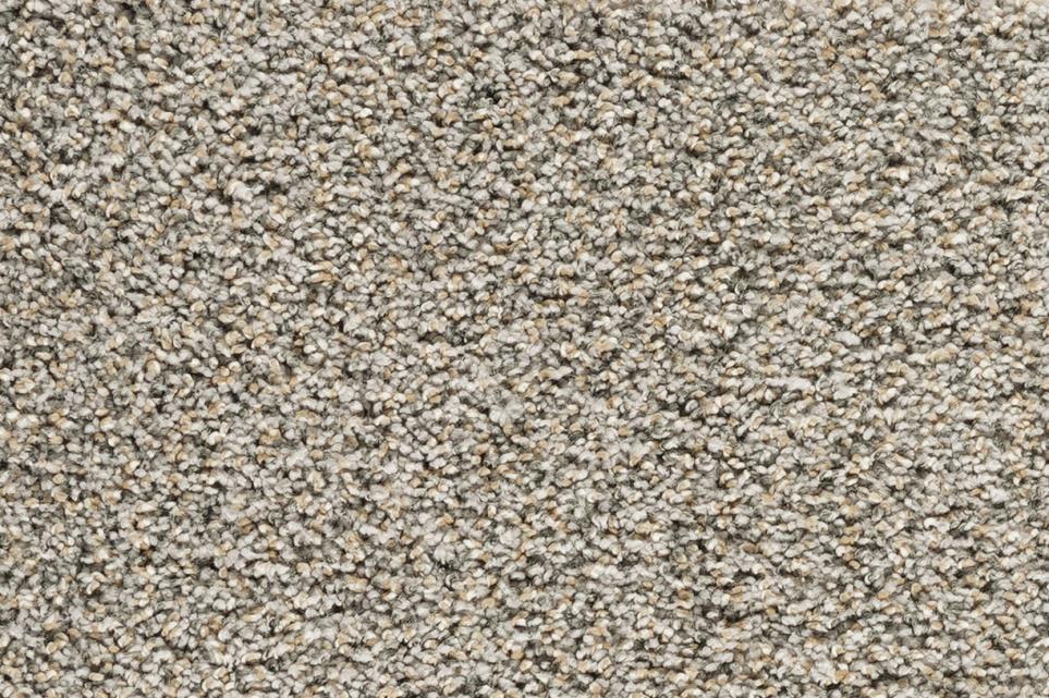 Textured Saxony Ceremonial Brown Carpet