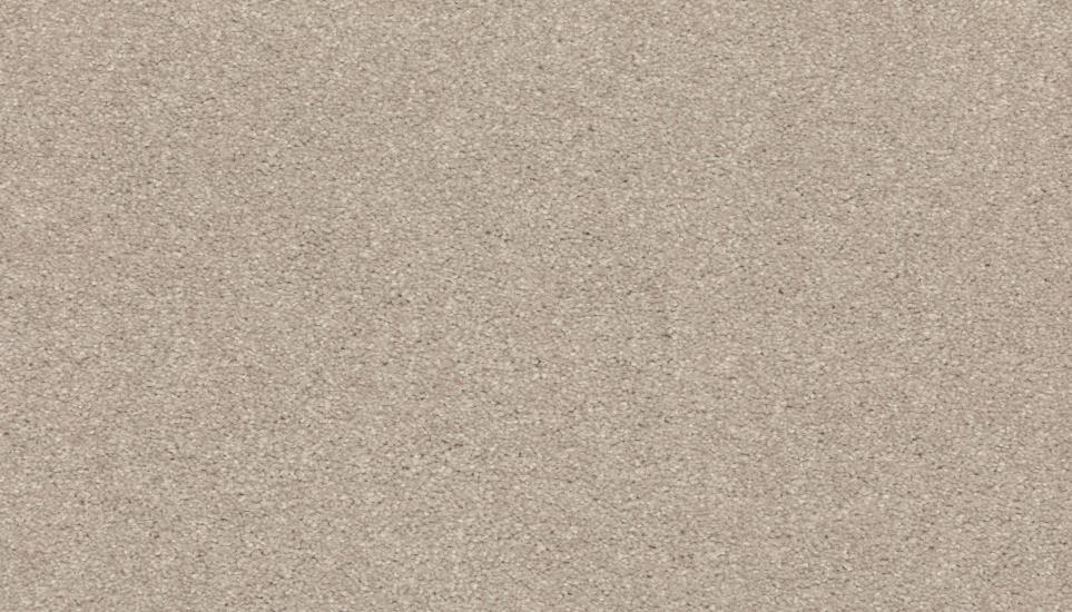 Textured Saxony Whisper Beige/Tan Carpet