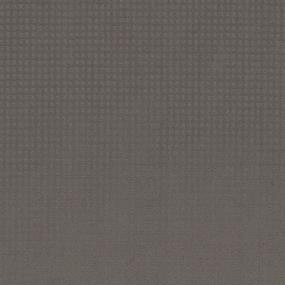 Pattern Manatee Brown Carpet
