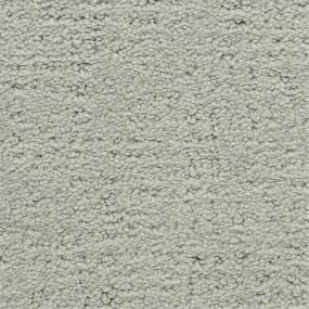 Pattern Alameda Park Gray Carpet