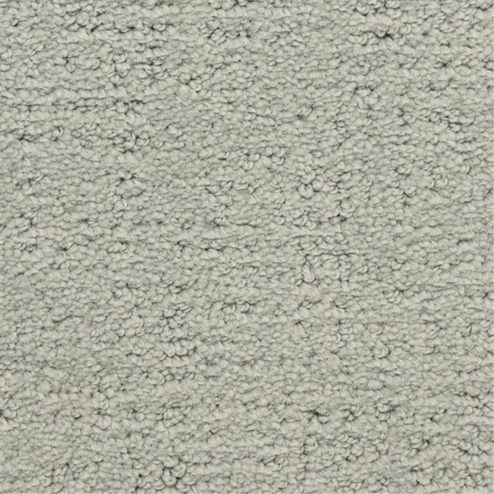 Pattern Alameda Park Gray Carpet