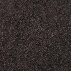 Casual Texture Bastille Brown Carpet