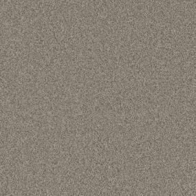 Textured Saxony Coin Beige/Tan Carpet