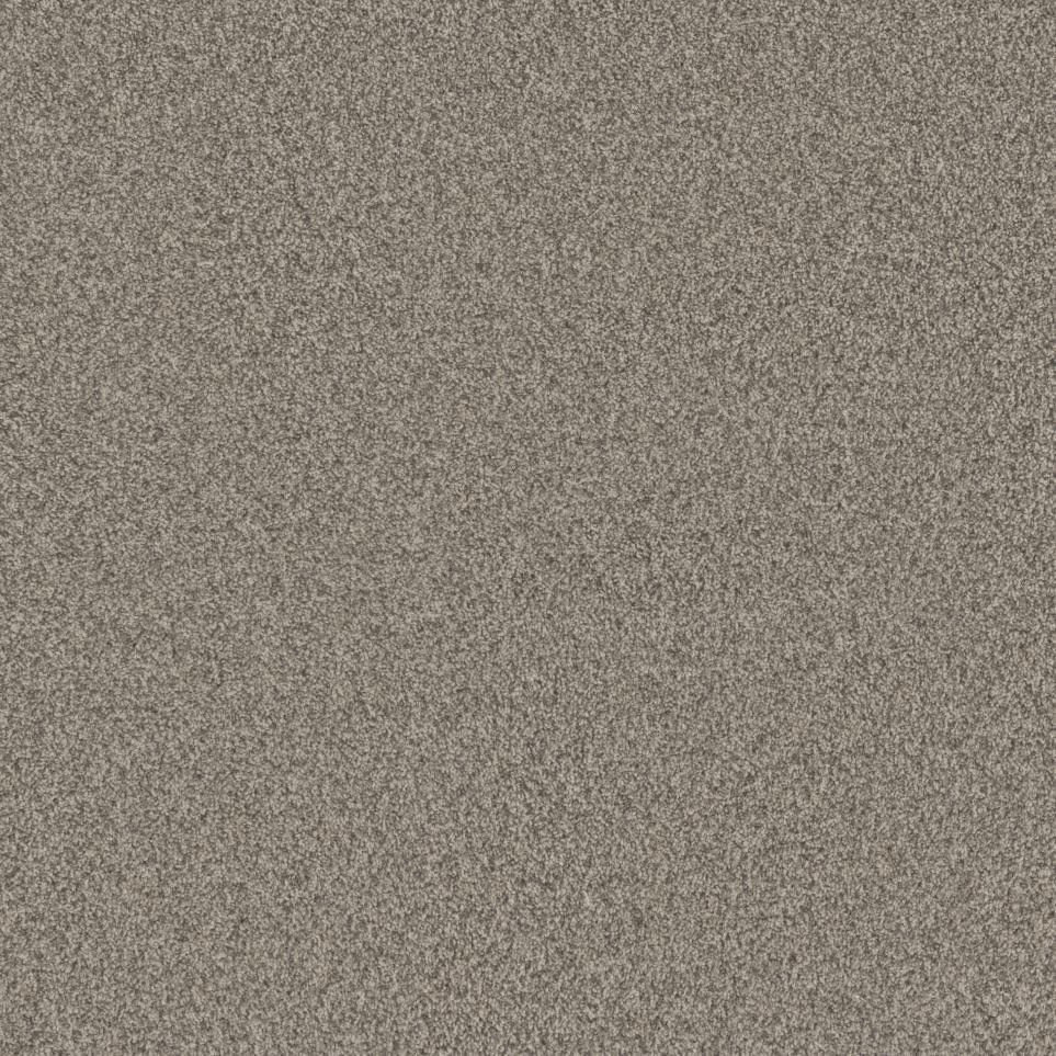 Textured Saxony Coin Beige/Tan Carpet