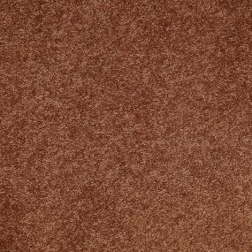 Textured Saxony Old Copper Brown Carpet