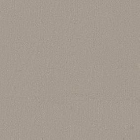 Pattern Flannel Beige/Tan Carpet