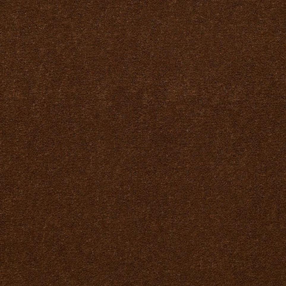 Cut Pile Molasses Brown Carpet
