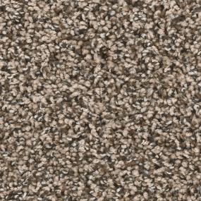 Textured Saxony Reliant Brown Carpet