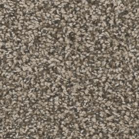 Textured Saxony Reliant Brown Carpet