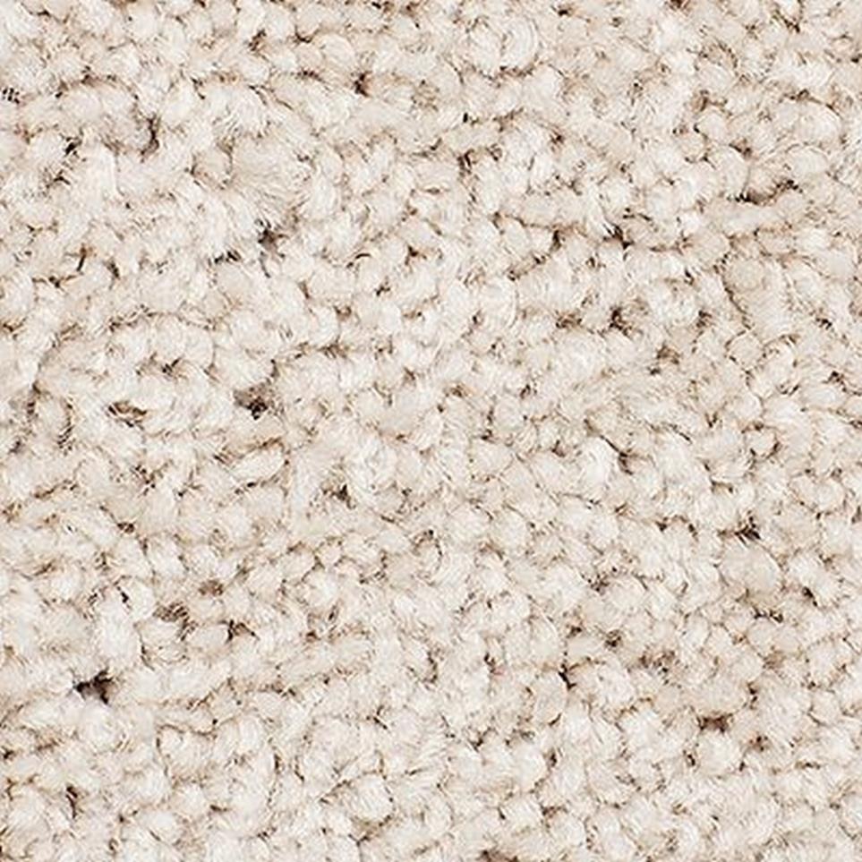 Berber Toasted Almond Beige/Tan Carpet
