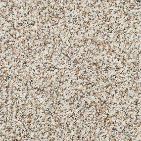 Textured Saxony Ancient Marble Gray Carpet