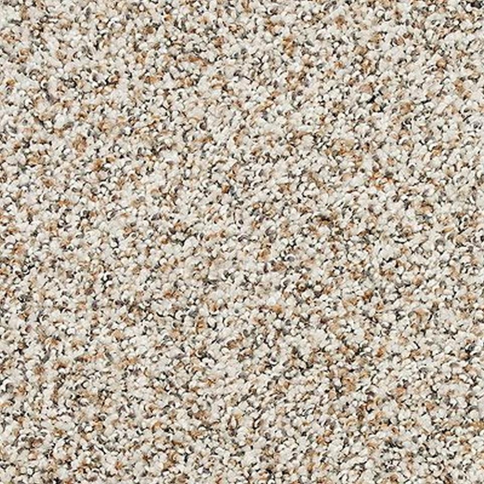 Textured Saxony Ancient Marble Gray Carpet