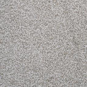 Textured Saxony Dapper Gray Carpet