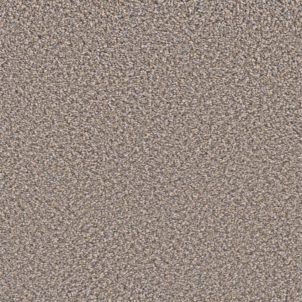 Texture Habersham Beige/Tan Carpet