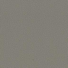 Textured Saxony On A Mission Brown Carpet