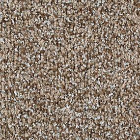 Textured Saxony Basketweave Beige/Tan Carpet
