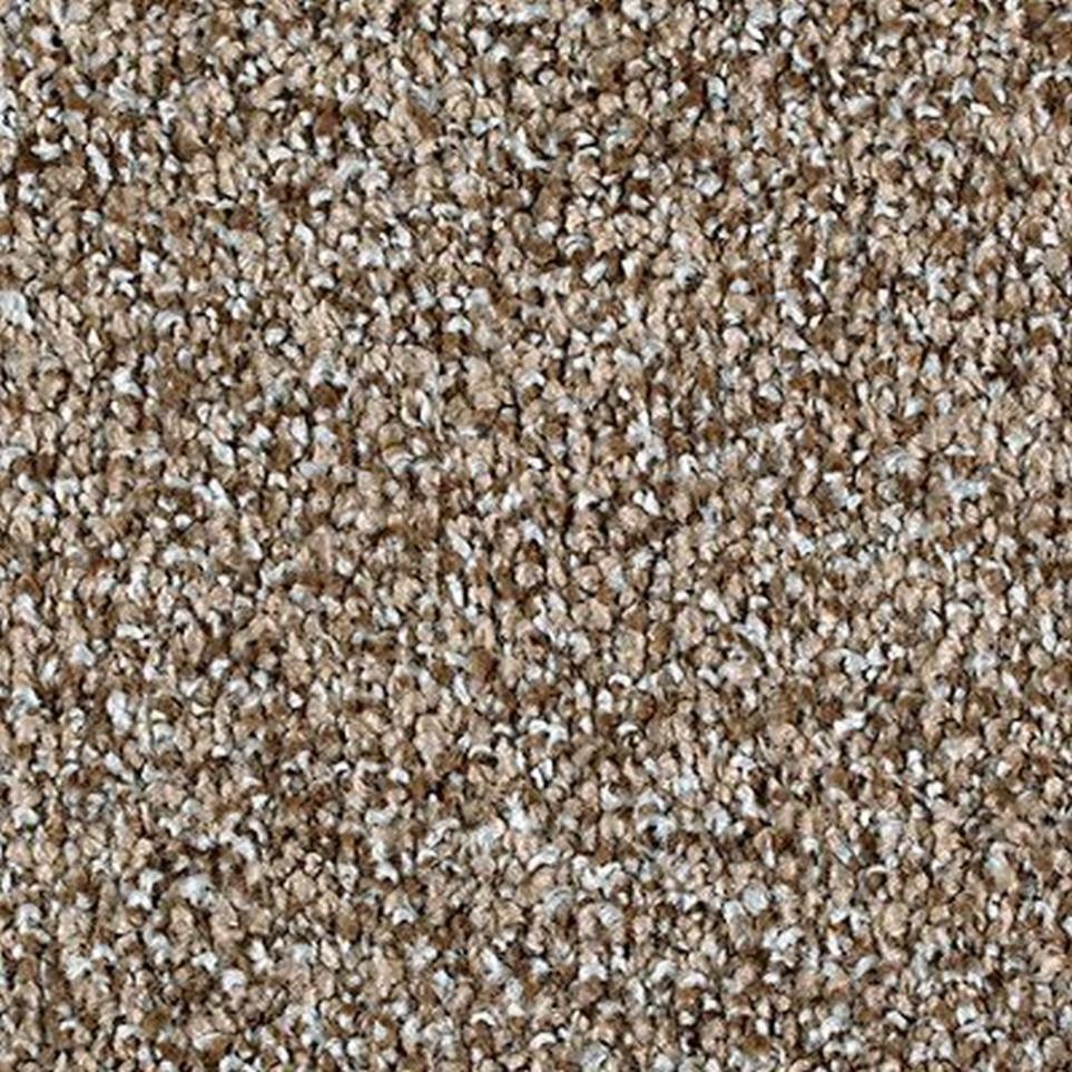 Textured Saxony Basketweave Beige/Tan Carpet