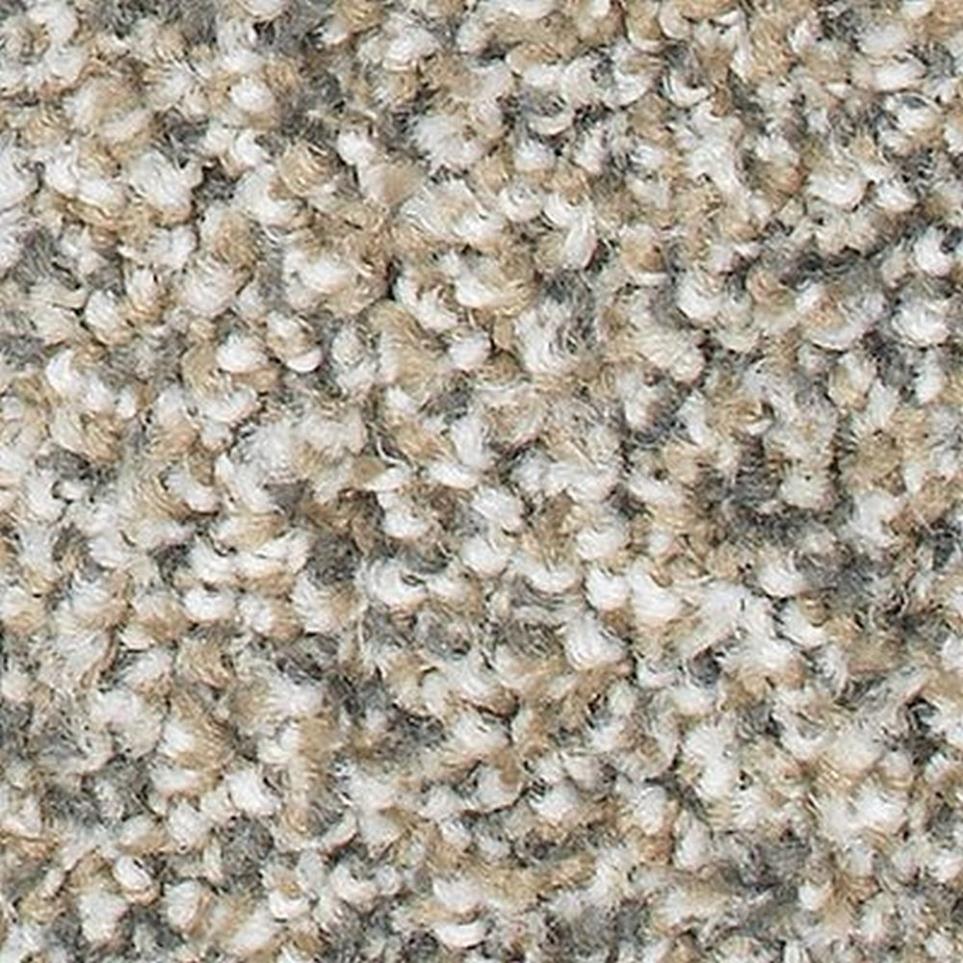 Textured Saxony Cedar Chest Brown Carpet