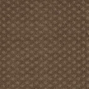 Pattern Wilderness Brown Carpet