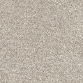Textured Saxony Sheltie Beige/Tan Carpet