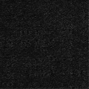 Pattern Black Watch       C Black Carpet