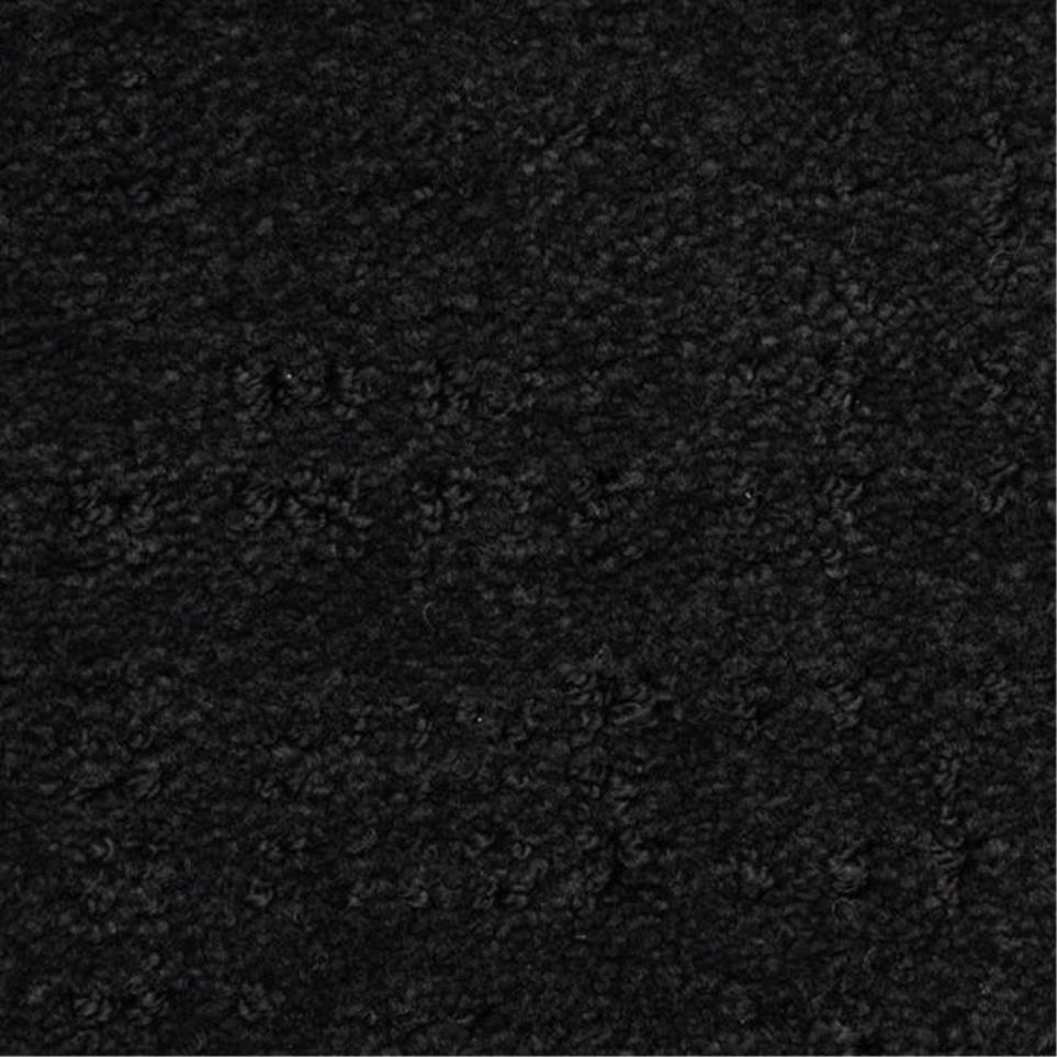 Pattern Black Watch       C Black Carpet