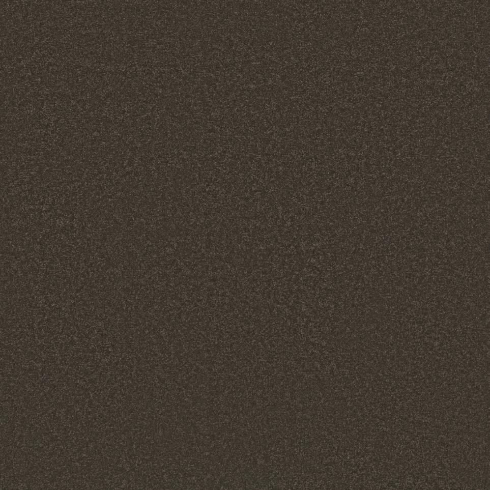 Textured Saxony Outerbanks Brown Carpet