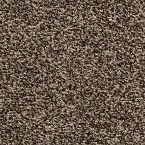 Texture Cheers Brown Carpet
