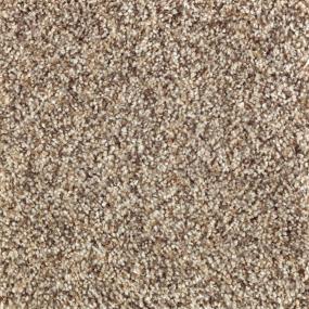 Textured Saxony Porch Swing Beige/Tan Carpet