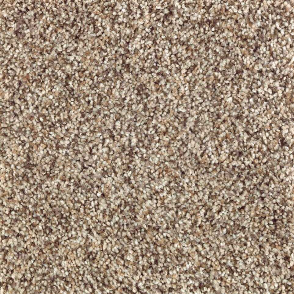 Texture Porch Swing Beige/Tan Carpet