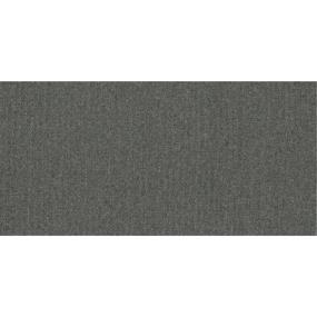 Loop Great Day Gray Carpet