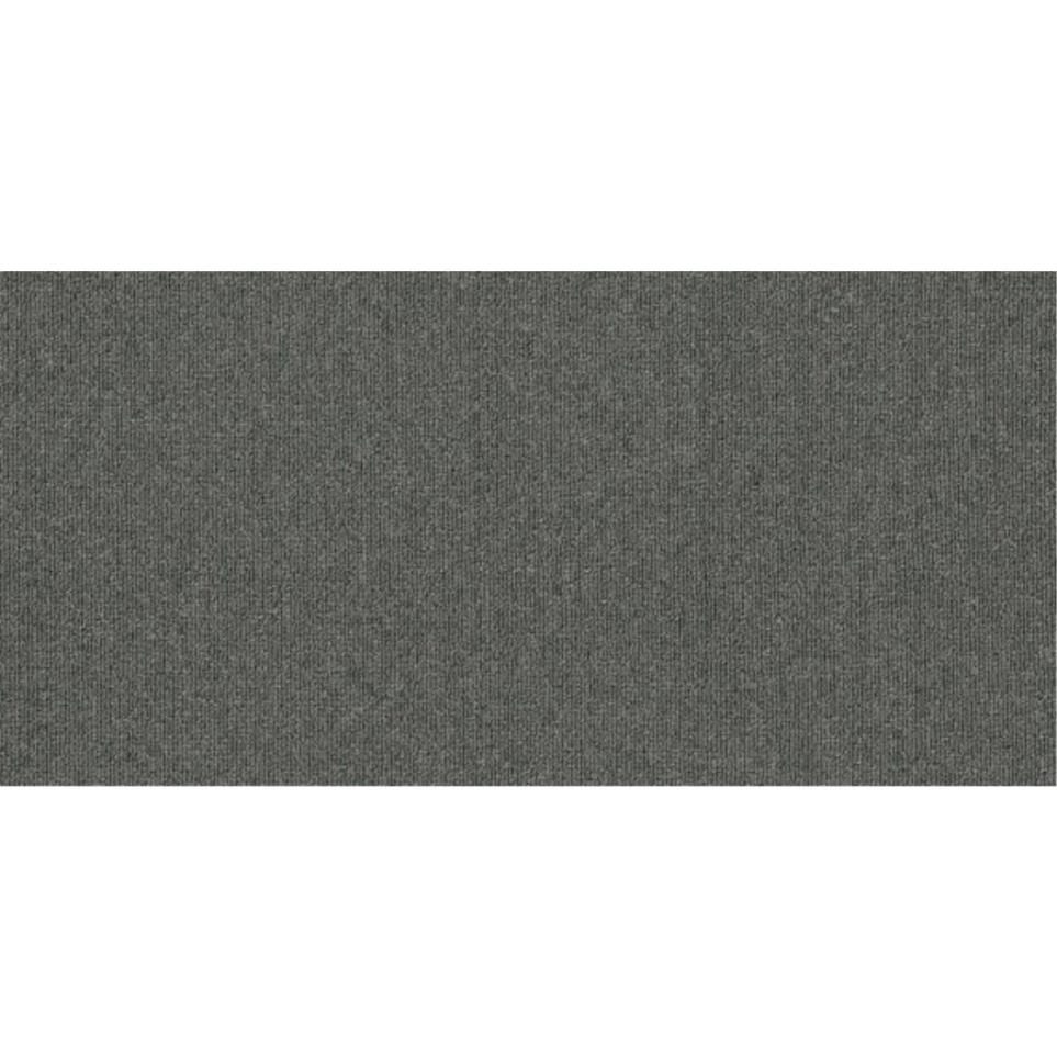 Loop Great Day Gray Carpet