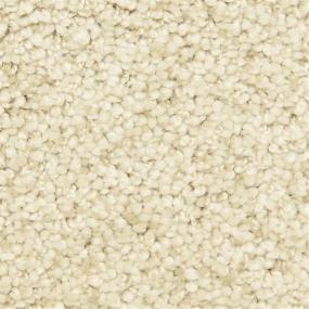 Casual Texture Enlightenment Beige/Tan Carpet